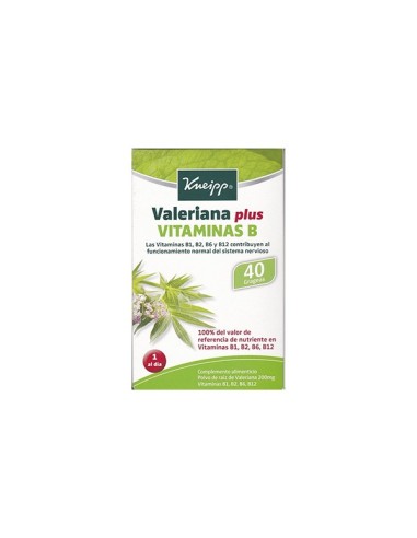 Valeriana Plus Vitaminas B 40 Grageas
